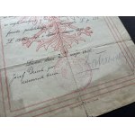 KOSTIKÓW, Roch Władysław - Collection of Documents [1919–1938]