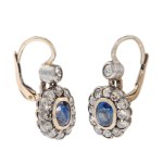 Earrings, Austria, 19th/20th century