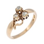 Ring, Hungary, Budapest, 19th/20th century