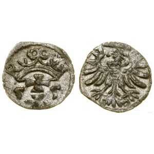 Poland, denarius, 1555, Gdańsk