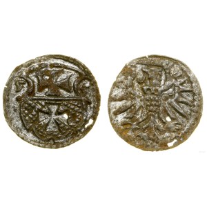 Poland, denarius, 1555, Elbląg