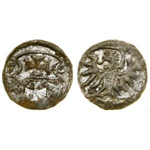 Poland, denarius, 1556, Elbląg
