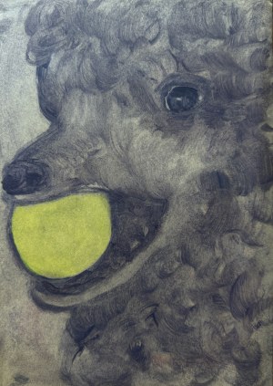 Monika CHLEBEK, Untitled, 2020