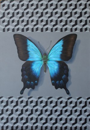 Michał SPRYSZYŃSKI (ur. 1987), P. procles, 2019