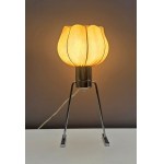 DRUPOL Table Lamp - 1960s