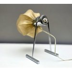 DRUPOL Table Lamp - 1960s