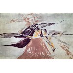 Gobelin- ''Przebudzenie Ptaka - ART PROTIS - proj. Emilie Hostašová - Brno 1981