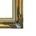 Decorative gilded frame with a canvas mat—featuring floral motifs