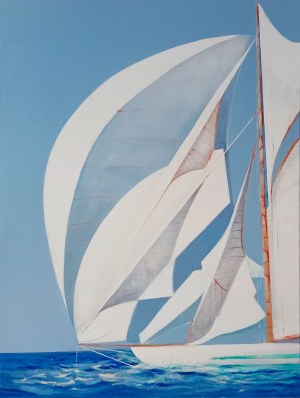 Aleksandra ADAMCZAK (ur. 1980), Na drodze do celu, 2026