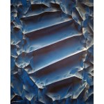 Paweł BIENKIEWICZ (ur. 1962), Relictum Argenti, z cyklu: 