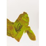 Marcin Surzycki (nar. 1963), „Green Girl“ (sada 2 listů)