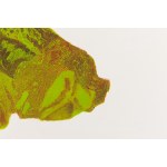 Marcin Surzycki (nar. 1963), „Green Girl“ (sada 2 listů)