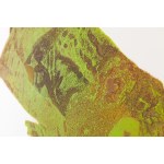 Marcin Surzycki (nar. 1963), „Green Girl“ (sada 2 listů)
