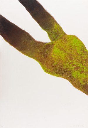 Marcin Surzycki (ur. 1963), 