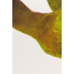 Marcin Surzycki (nar. 1963), „Green Girl“ (sada 2 listů)