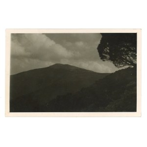 Gorgany - Photo by A. Lenkiewicz. Popadia (500)