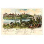 Poznań / Posen - City Panorama, 1902 (604)
