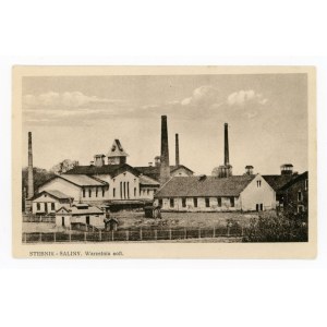 Stebnik-Saliny - Salt Works (947)