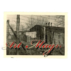 Biedrusko / Warthelager k. Poznań - Obóz jeniecki dla brytyjskich jeńców wojennych, Stalag XXI-? (1687)