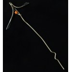 Tie/hat pin with a coral, item no. LU (218)