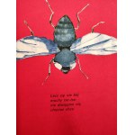 Woroszylski, W. — *I'll Tell You a Secret*, ill. by Elżbieta Murawska, Warsaw 1972 [first edition]