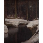 Roman Bratkowski (1869 Lwów - 1954 Wieliczka), Leśny potok (Marzec), 1915