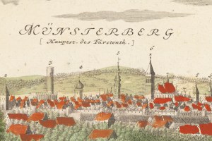 Friedrich Bernhard Werner (1690 Topola - 1776 Wrocław), Ziębice (Münsterberg), 1738