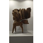Zbigniew Bury, Konik 20