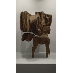 Zbigniew Bury, Konik 20