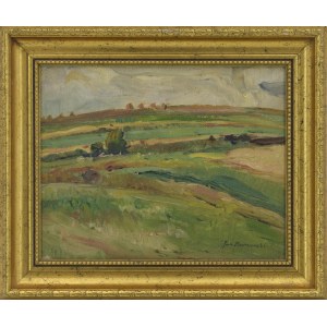 Jan BEDNARSKI (1891–1956), Landscape