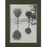 Jan TARASIN (1929–2009), Composition [Trees], 1990