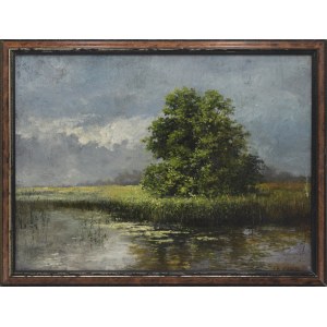 F. H. KRAUSE, 19th–20th centuries, Pond