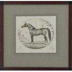 Jan Maciej KOPECKI (1945–2016), A Pair of Horse Portraits: Aladdin (1975); Bask (1956)