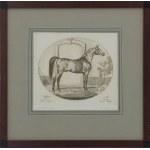 Jan Maciej KOPECKI (1945–2016), A Pair of Horse Portraits: Aladdin (1975); Bask (1956)