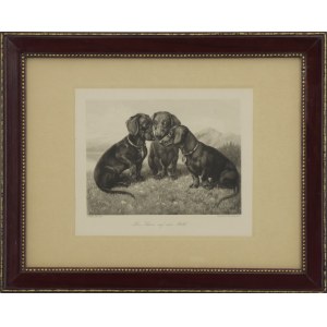 Alfred WECZERZICK (1864–1952), Dachshunds