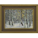 A. SŁADNIEW, 20th century, Brzezina – Winter, ca. 1988
