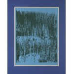 Jan TARASIN (1929–2009), Untitled [Reeds], 1990