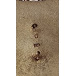 VERITAS Silver Our Lady Neck Guard Case /m.
