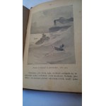 Among the Tatars: A Novel for Young People by Artur Gruszecki, 1898