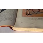 Poland: Its History and Culture... Volumes I–III, 1928–1932 /m.
