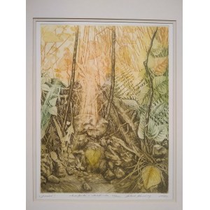 Autumn by Adam Kwaśny, 1990