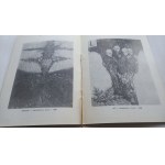 Ex-libris: Waygart Klincewicz Prints Catalog, 1986. AUTOGRAPH /m.
