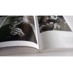 The Great Life Photographers /m.