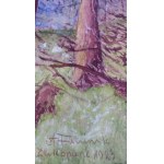 Trees in the Tatra Mountains /ref. no./ Zakopane, 1923
