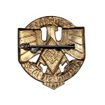 Germany Hitler Youth "Youthfest" badge 1937