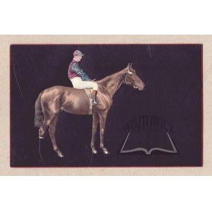 SPECIAL. (A rider on a horse).