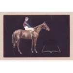 SPECIAL. (A rider on a horse).