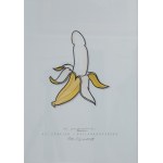 Unknown Artist, Sweden, Banana Provocation