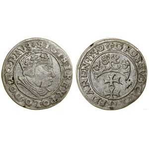 Polska, grosz, 1540, Gdańsk