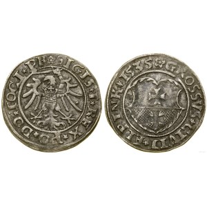 Poland, grosz, 1535, Elbląg